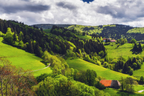 istock Green mountain valley with forests, fields and village in summer. 639821094
