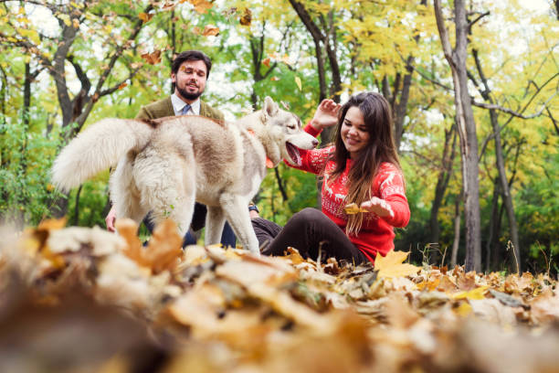 istock young happy couple in autumn park 639823968