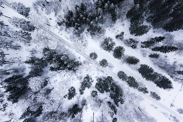istock Wintery forest - aerial view 639825286