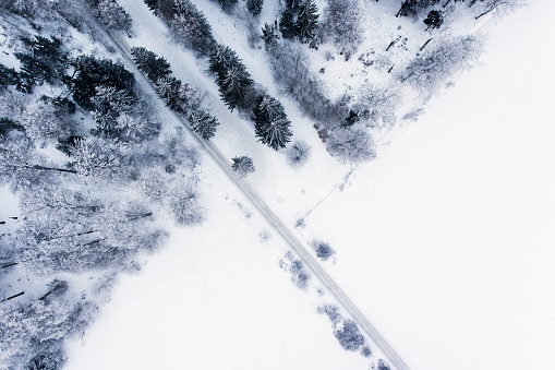 Wintery forest - aerial view from above