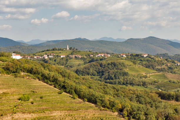 istock Rural mediterranean landscape with vineyards 639825358