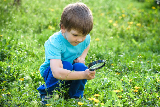 istock Young boy exploring nature in a meadow with magnifying glass 639825380