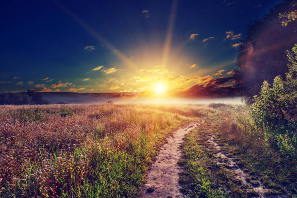 istock Green Field and Beautiful Sunset 639825526
