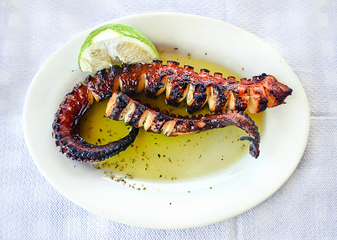 seafood - octopus on plate at a greek tavern 