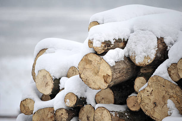 istock Chopped firewood logs in a pile covered with snow 639826592