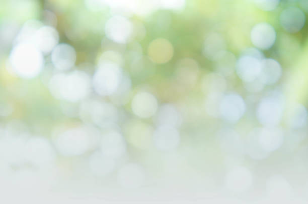 istock abstract bokeh background style, nature colorful blur background 639826686