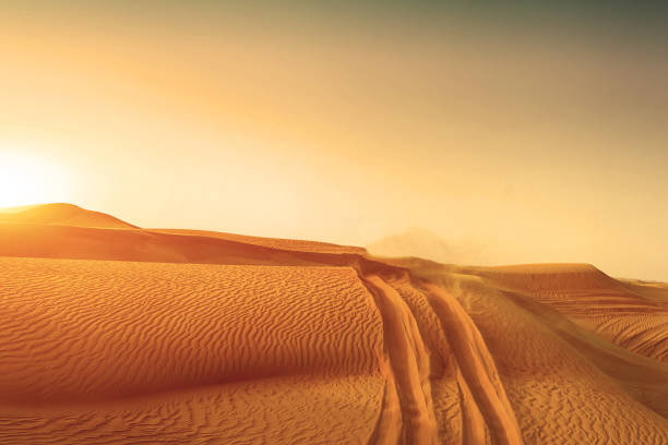Desert sand dunes road at sunset