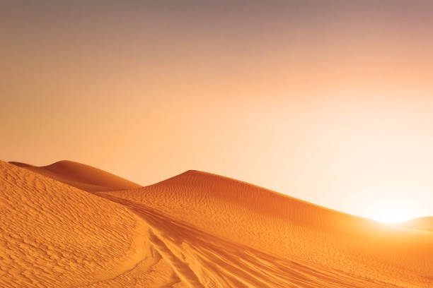 route des dunes de sable du désert au coucher du soleil - 4x4 desert sports utility vehicle dubai photos et images de collection