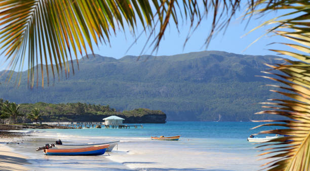 istock Tropical Beach in Las Galeras, Dominican Republic 639830806