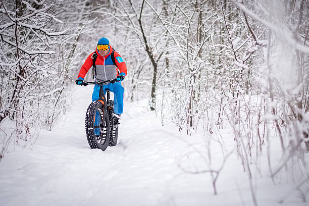 istock Bicycle rider in the forest 639831482