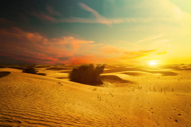 istock Sunset in the desert sand dunes background 639832058