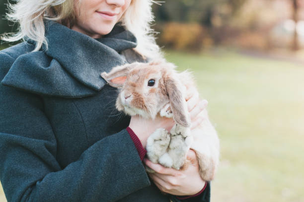 istock woman with rubbit, outdoor 639833798