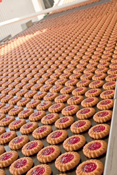 istock Production line of  jam cookies 639834222