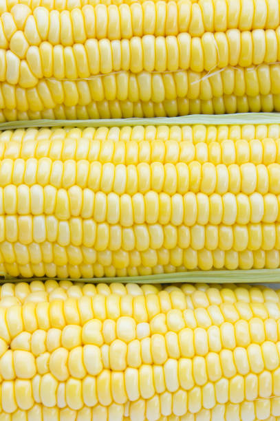 istock Sweet corn, vegetables, fruit with a sweet flavor 639834312