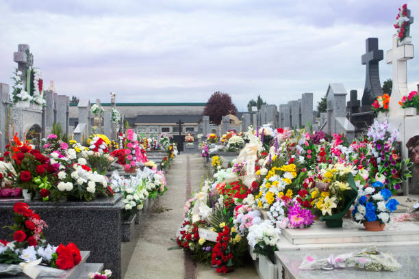 Rows of crosses and flowers in a graveyard. stock photo