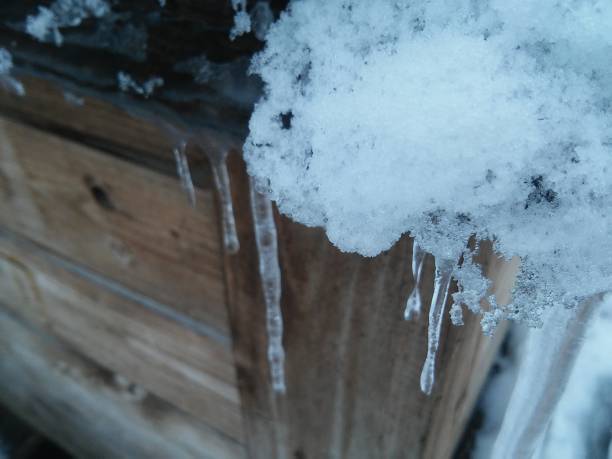 istock Icicles on the house of dog 639843254