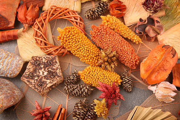 istock Dried florist supplies. 639844146