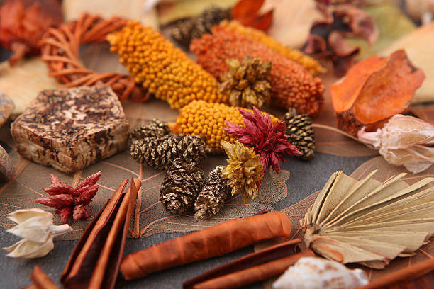 istock Dried florist supplies. 639844176