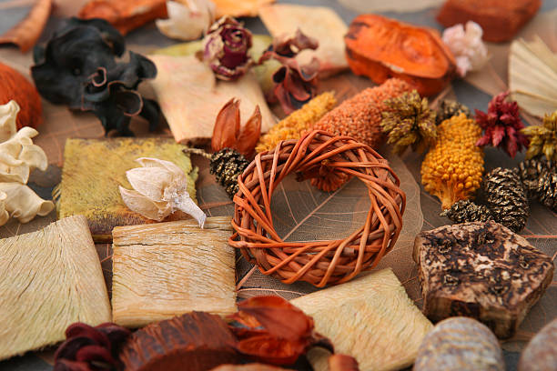 istock Dried florist supplies. 639844218
