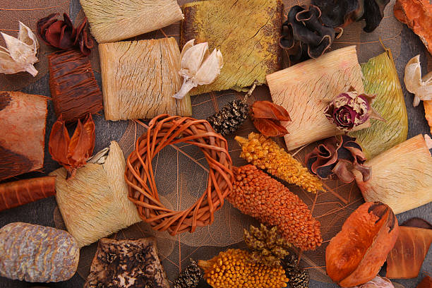 istock Dried florist supplies. 639844264