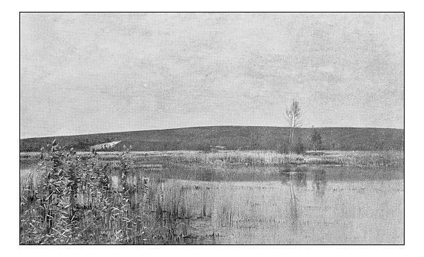 istock Antique dotprinted photograph of painting: Landscape 639845170