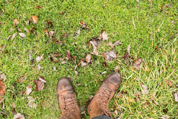Hiking boots in green wet grass with foliage, during rainy weather and fog