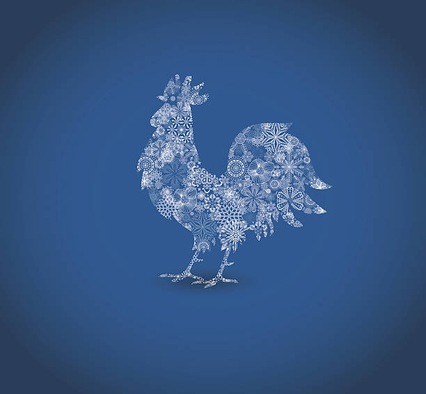 Year of cock vector art illustration