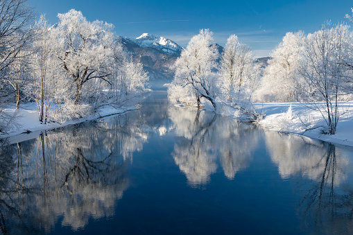 River Loisach flows into the Kochelsee, winter with rime and snow on the trees