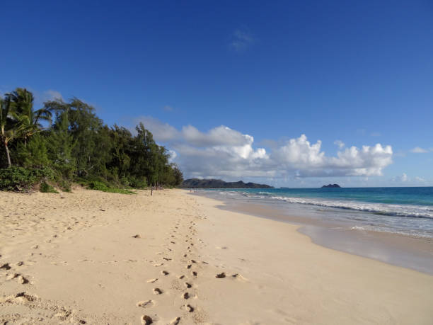 istock Foot prints path in the sand on Waimanalo Beach 639853110