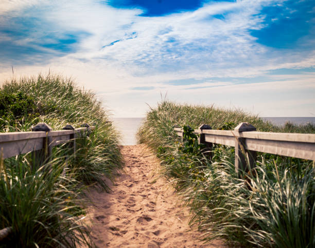 istock beach trail prince edward island 639855452