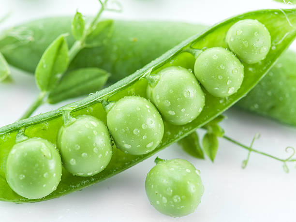 영업중 완두콩 꼬투리. - green pea pea pod sweet food freshness 뉴스 사진 이미지