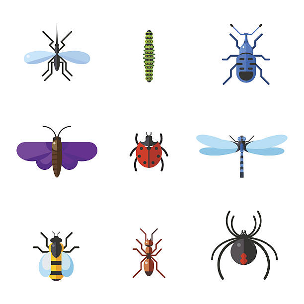 owady ikona płaski zestaw odizolowane na białe tło - snail isolated white white background stock illustrations