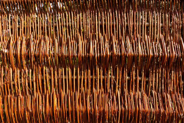 Detail of a new wicker fence no nails