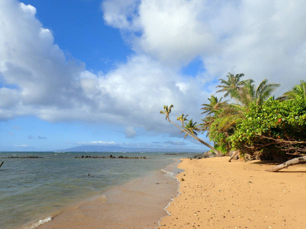Waves roll onto shore on Wailua Beach with fishpond at Dawn with Coconut trees along the shore on the island of Molokai in the state of Hawaii.