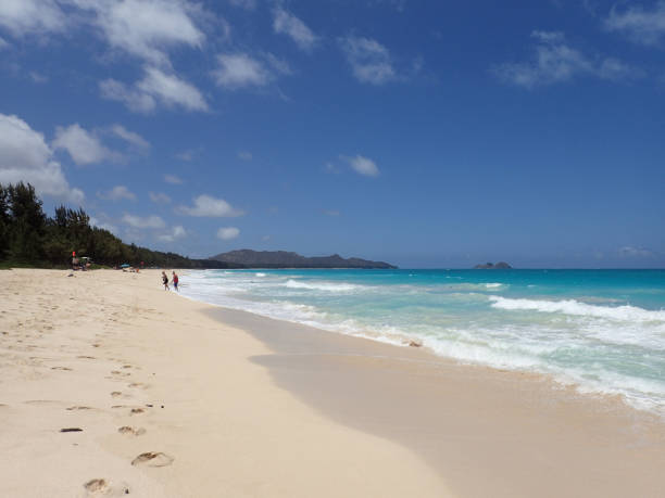 istock People on Waimanalo Beach 639863066
