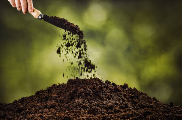 istock Hand pouring black soil on green plant bokeh background 639864000
