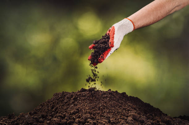 Young Asian woman using fork for soil preparation for seedling organics vegetable.