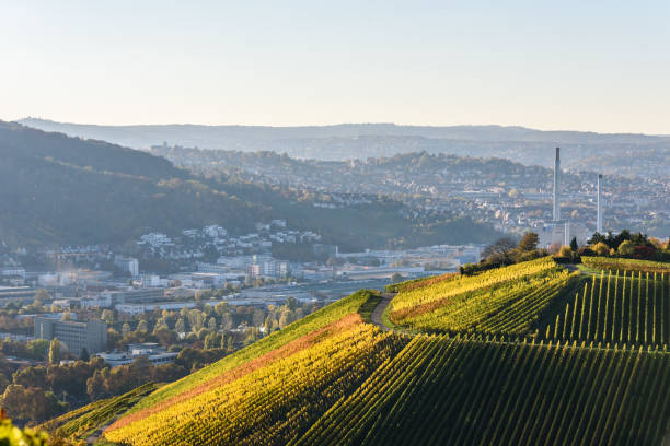 istock Vineyards at Stuttgart - beautiful wine region 639866282