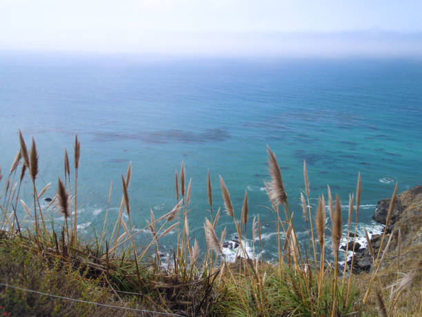 pacificia california coastline views, california, highway one - imagen de archivo - pacificia fotografías e imágenes de stock