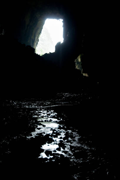 istock Deer Cave - Mulu National Park - Borneo 639867216