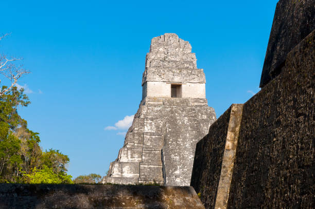 istock Tikal national park in Peten, Maya architecture. Guatemala 639868402