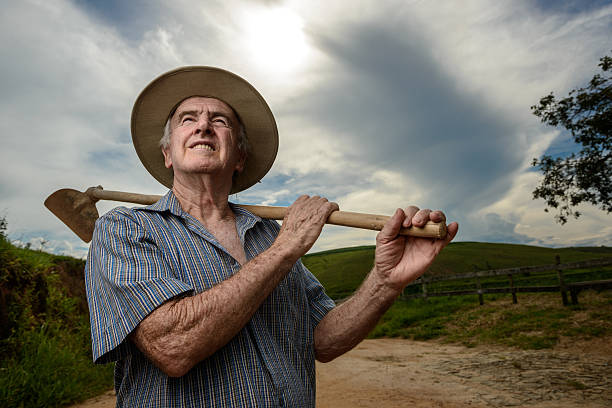 istock Positive rural worker holding a hoe looking the sky, Brazil 639868918