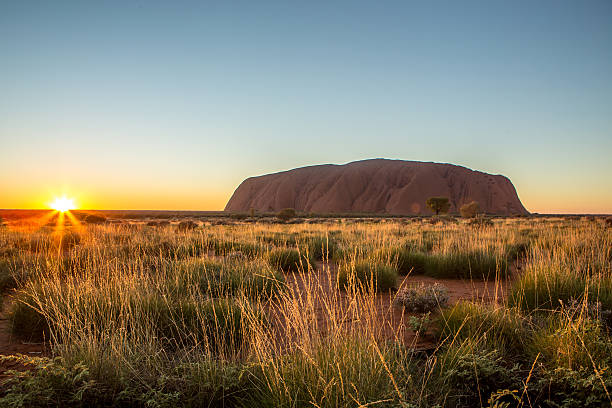parc national d’uluru kata tjuta, australie - uluru australia northern territory sunrise photos et images de collection