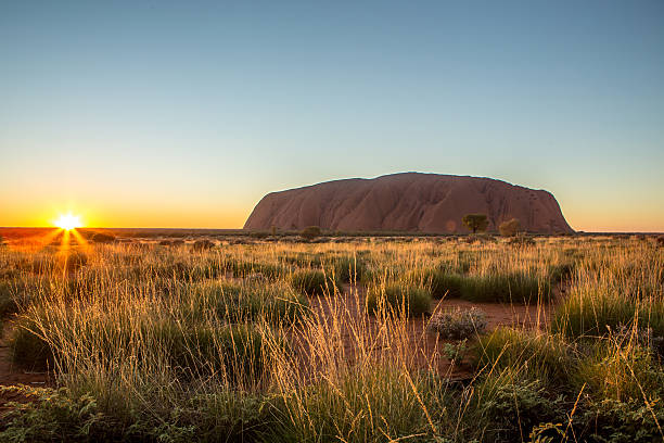 национальный парк улуру ката тьюта, австралия - uluru australia northern territory sunrise стоковые фото и изображения