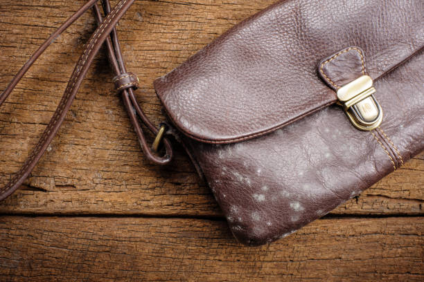 mould on bag mould on old brown leather bag, fungus on leather bag leather care stock pictures, royalty-free photos & images