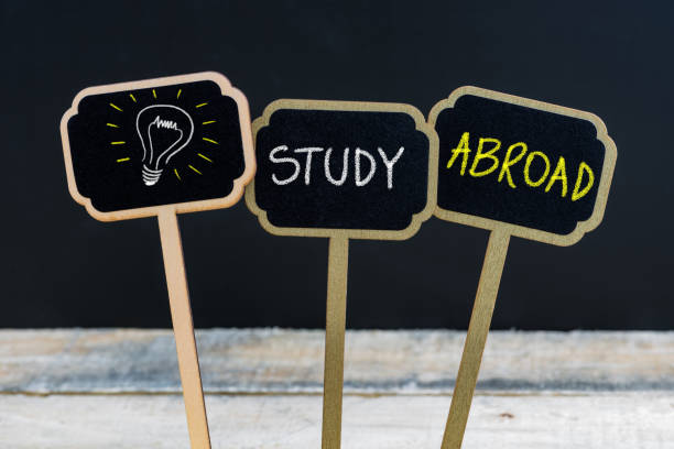 istock Concept message written with chalk on wooden mini blackboard labels 639874076