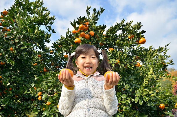 istock Japanese girl picking orange 639877402