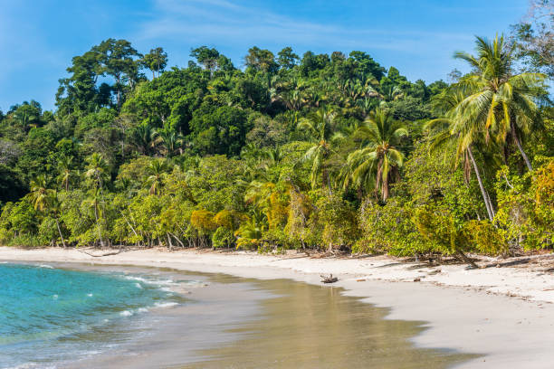 istock Manuel Antonio, Costa Rica - beautiful tropical beach 639877432