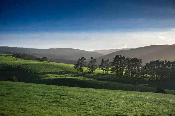 istock Late Afternoon Pastoral Scene 639877632