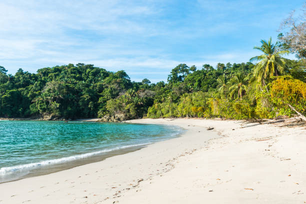 istock Manuel Antonio, Costa Rica - beautiful tropical beach 639877746